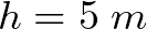 h = 5 \hspace{1mm}m